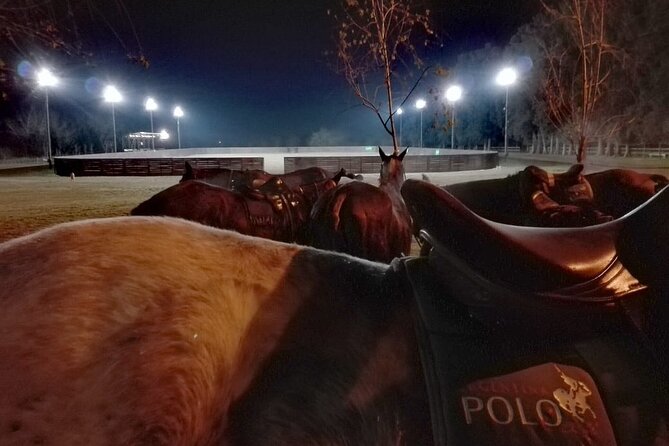 Polo Under the Stars and Argentine BBQ Evening Venue from Buenos Aires - Key points at a glance