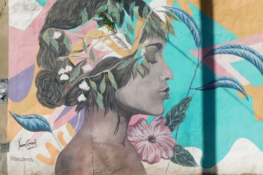Premium Argentinian Wine and Malbec Tasting & Urban Art Tour - Key points to know before booking
