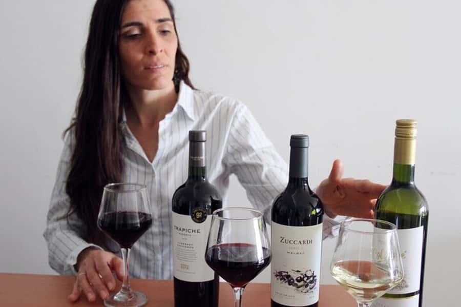 Premium Argentinian Wine and Malbec Tasting & Urban Art Tour - Tasting Argentina beyond Malbec