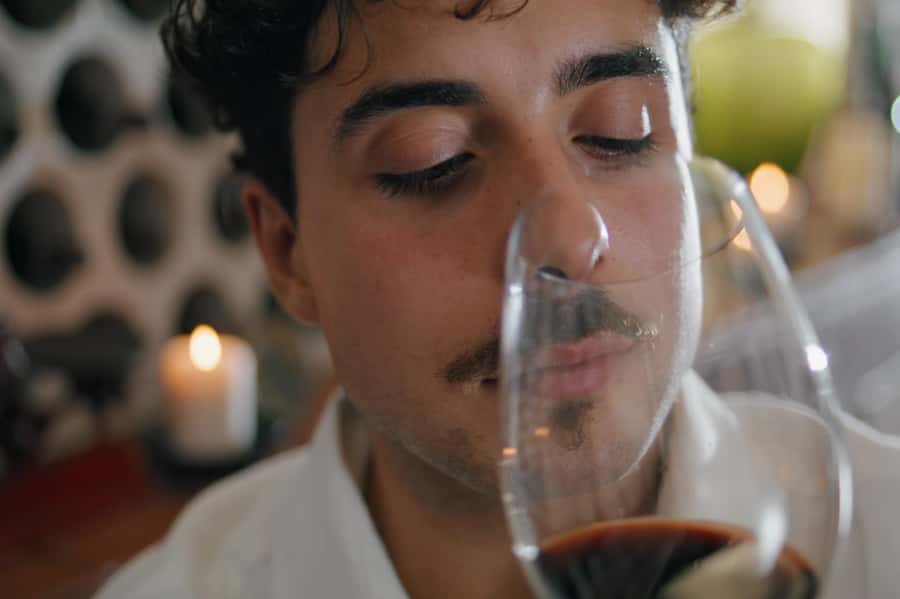Premium Argentinian Wines and Malbec Tasting Experience - What the $50 Price Really Buys You