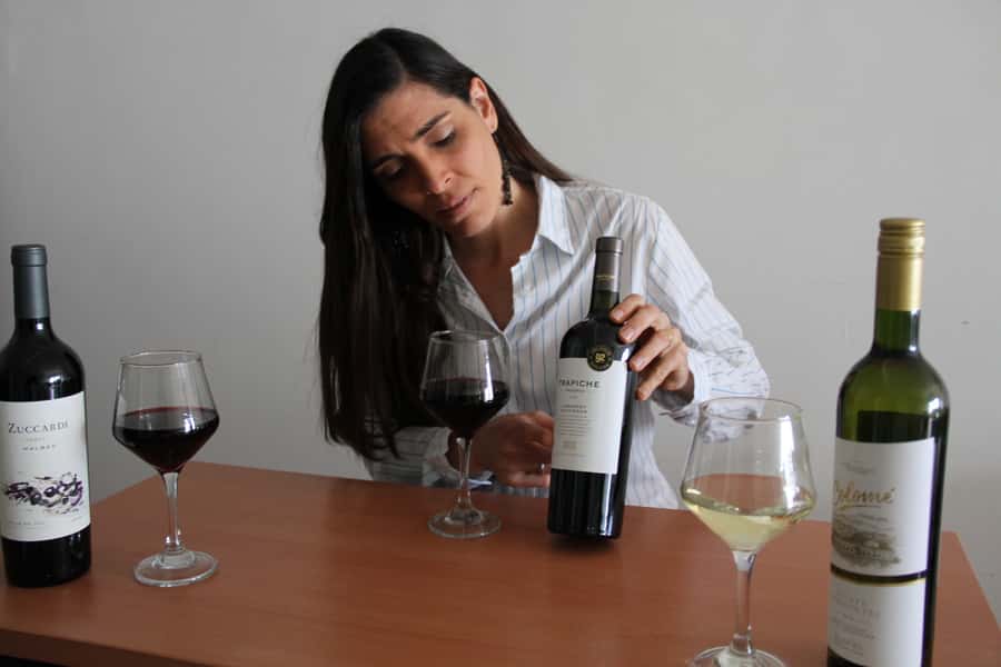 Premium Argentinian Wines and Malbec Tasting Experience - Should You Book the Palermo Wine Experience?