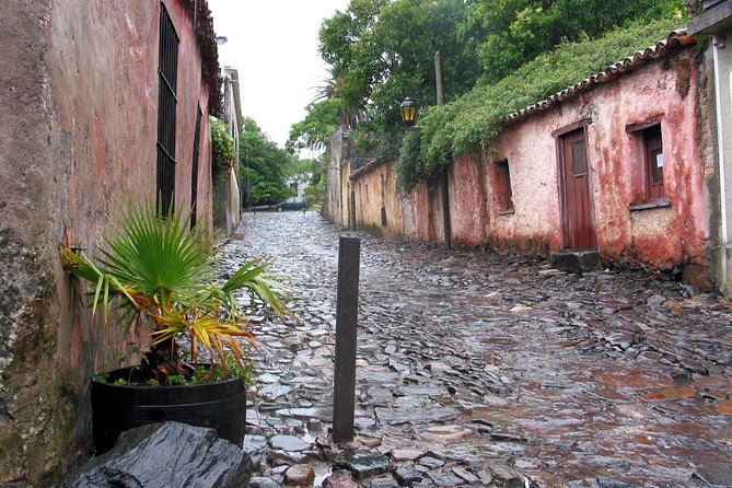 Premium Day Tour to Colonia del Sacramento - Lunch at Mesón de la Plaza