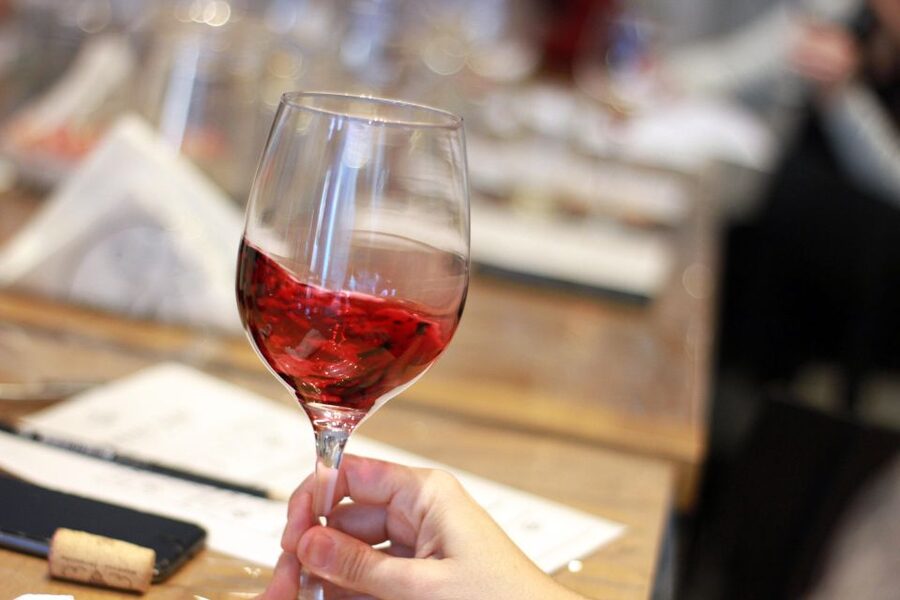 Premium Empanadas Cooking Class & Wine Tasting Experience - Is $49 a fair price?