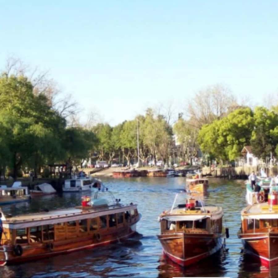 Private City Tour of Buenos Aires + Tigre Delta - How the private format changes the day