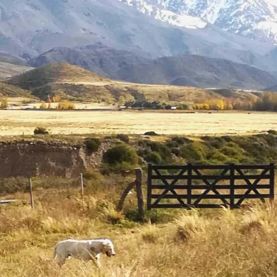 Private Experience: Horseback Riding and BBQ in the Mountain - Estancia La Carrera - What makes the gaucho-led route worthwhile