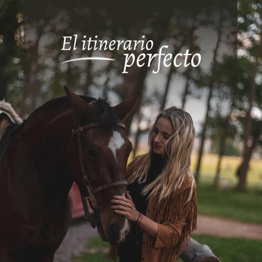 Private Experience: Horseback Riding and BBQ in the Mountain - Estancia La Carrera - A welcome at the Palma family home