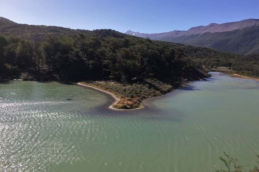Private Experience "Tierra del Fuego" National Park - Ensenada Zaratiegui and the native trees