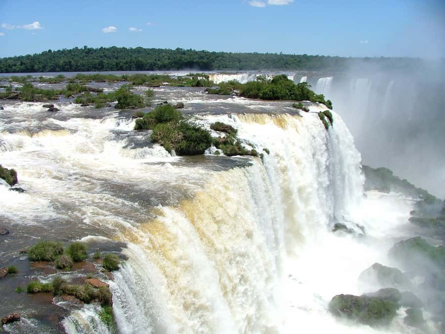 Private Tour "Dawn at the Iguassu Falls". - Walking 1.5 kilometers through the Atlantic Forest