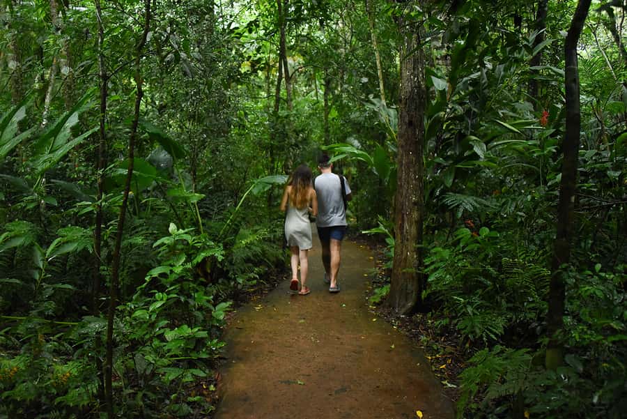 Puerto Iguazu: Iguaza Falls Brazilian Side & Bird Park Tour - Timing, food, and the border problem