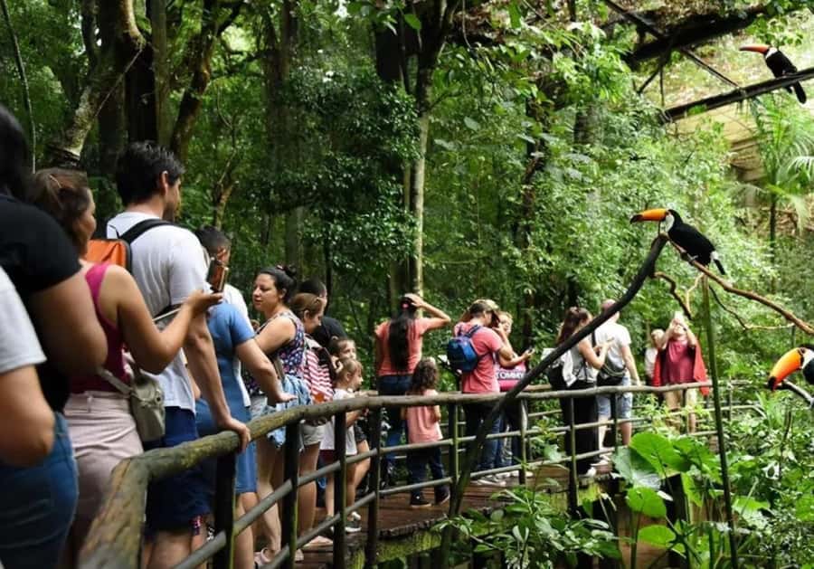 Puerto Iguazu: Iguaza Falls Brazilian Side & Bird Park Tour - From Puerto Iguazu to the Brazilian border