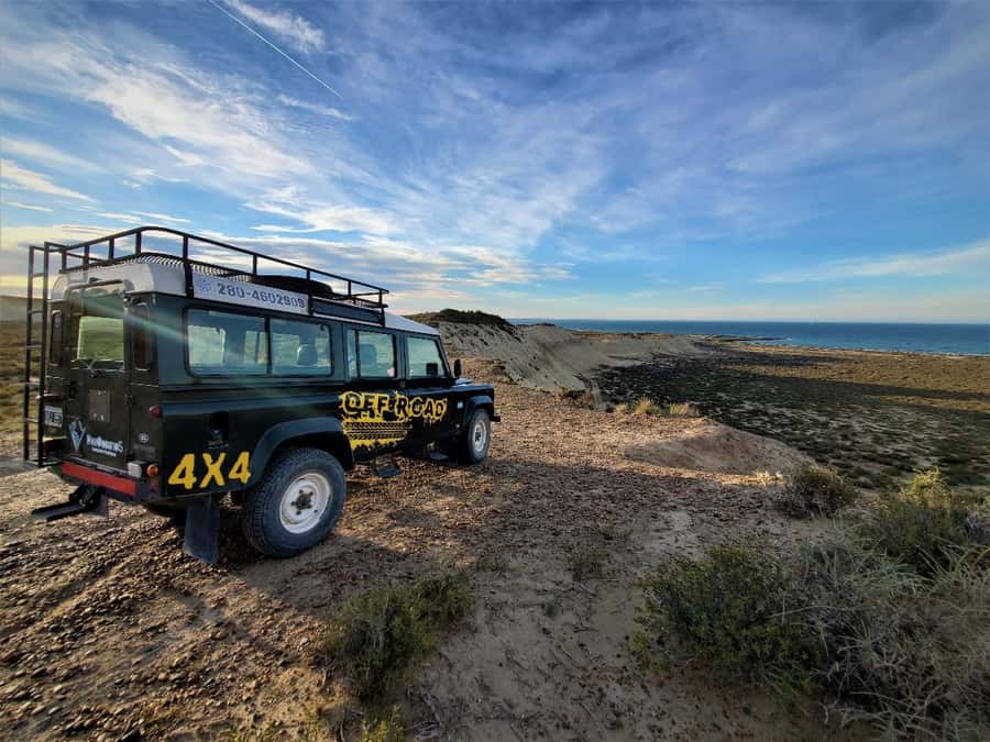 PUERTO MADRYN: 4 X 4 ADVENTURE EXPERIENCE ON THE MOST BEAUTIFUL BEACHES! - Key points to know before you book