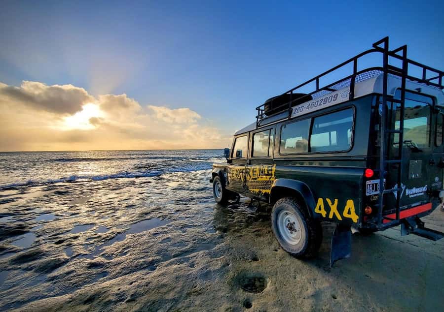PUERTO MADRYN: 4 X 4 ADVENTURE EXPERIENCE ON THE MOST BEAUTIFUL BEACHES! - Punta Este and the changing shoreline