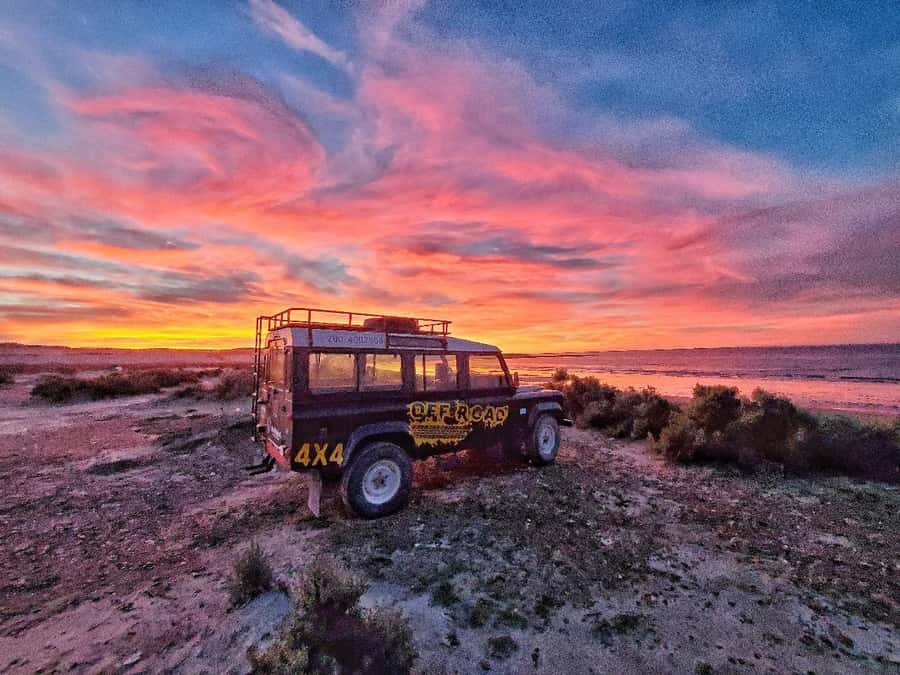 PUERTO MADRYN: 4 X 4 ADVENTURE EXPERIENCE ON THE MOST BEAUTIFUL BEACHES! - Punta Loma and the sea lion colony