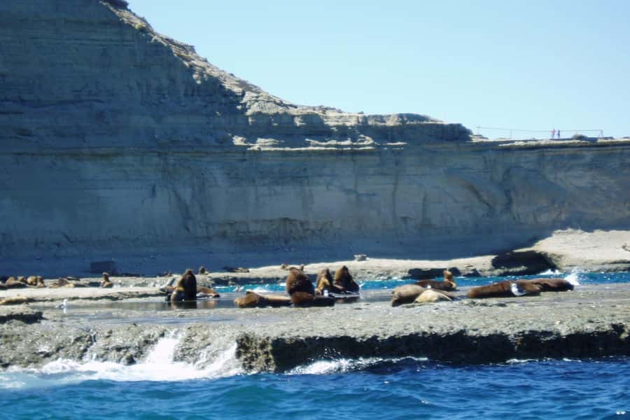 Puerto Madryn: Excursion to Peninsula Valdes Classic - What the $112 price really covers