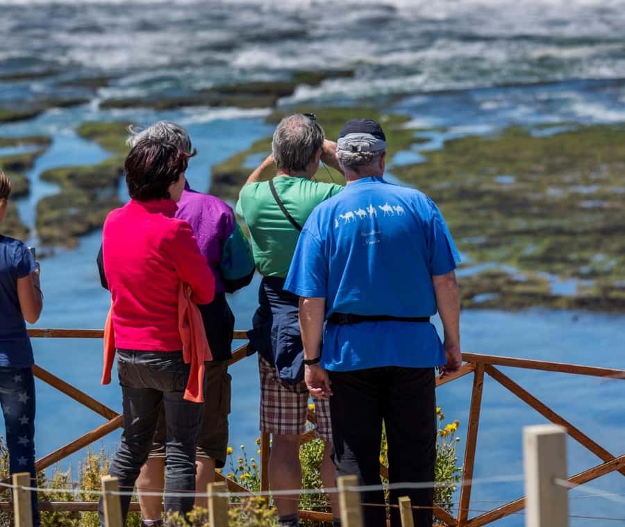 Puerto Madryn: Full Day Peninsula Valdes Experience Tour - Is the $120 price good value?