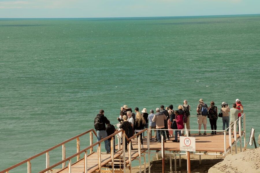 Puerto Madryn: Full Day Peninsula Valdes Experience Tour - Puerto Pirámides, the peninsula’s small port