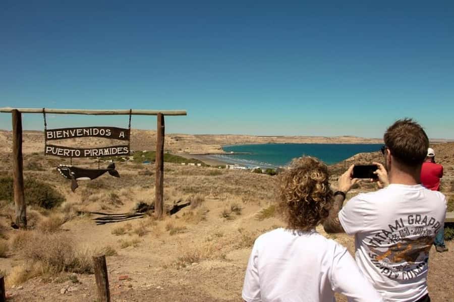 Puerto Madryn: Full Day Peninsula Valdes Experience Tour - Whales, seals, and what you may see