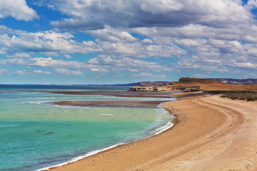 Puerto Madryn: Península Valdes with optional Whale Watching - Why Península Valdés is worth a long day from Puerto Madryn