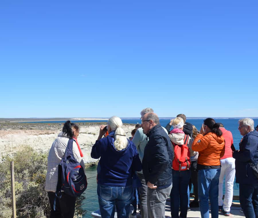 Puerto Madryn: Punta Loma Shore Excursion - The 500-meter trail and local plant life