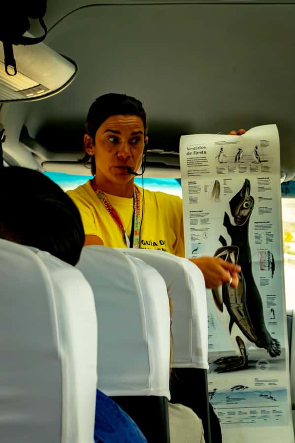 Puerto Madryn: Punta Tombo Walking Among Penguins Experience - Why Punta Tombo is worth the long ride