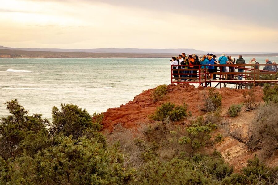 Puerto Madryn: Punta Tombo Walking Among Penguins Experience - The optional stop changes the character of the day