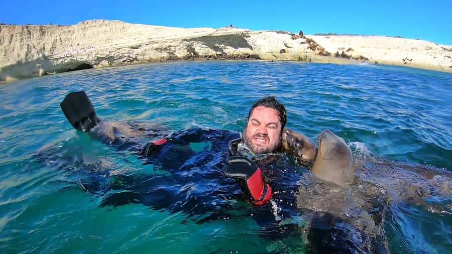 Puerto Madryn: Snorkeling Trip with Sea Lions - Guides, group feel, and photography