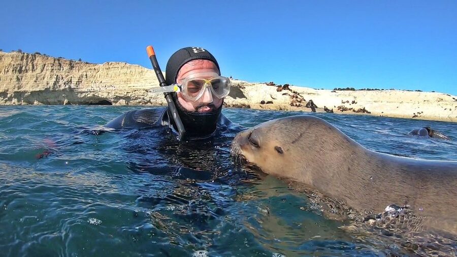 Puerto Madryn: Snorkeling Trip with Sea Lions - Price and practical value at $150