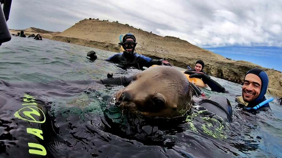 Puerto Madryn: Snorkeling Trip with Sea Lions - A few smart planning tips