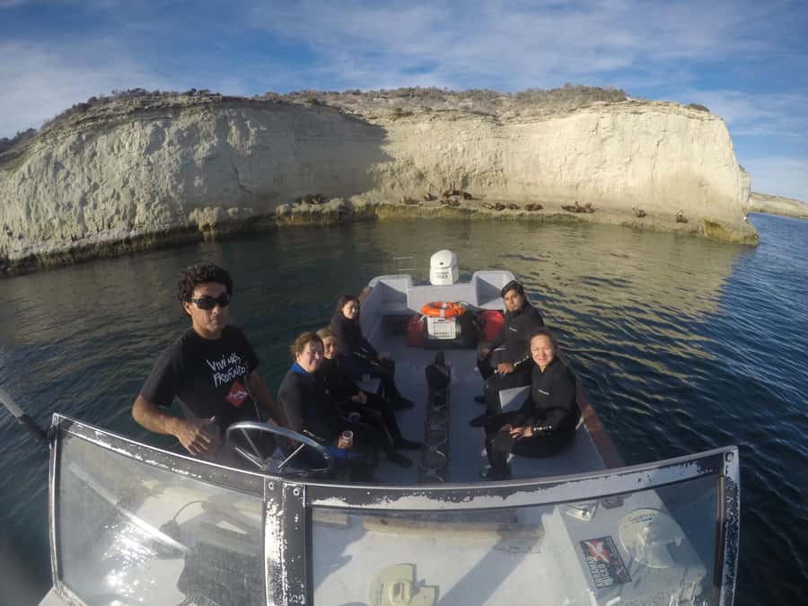 PUERTO MADRYN , SNORKELING WITH SEA LIONS - What the sea lion encounter can really be like