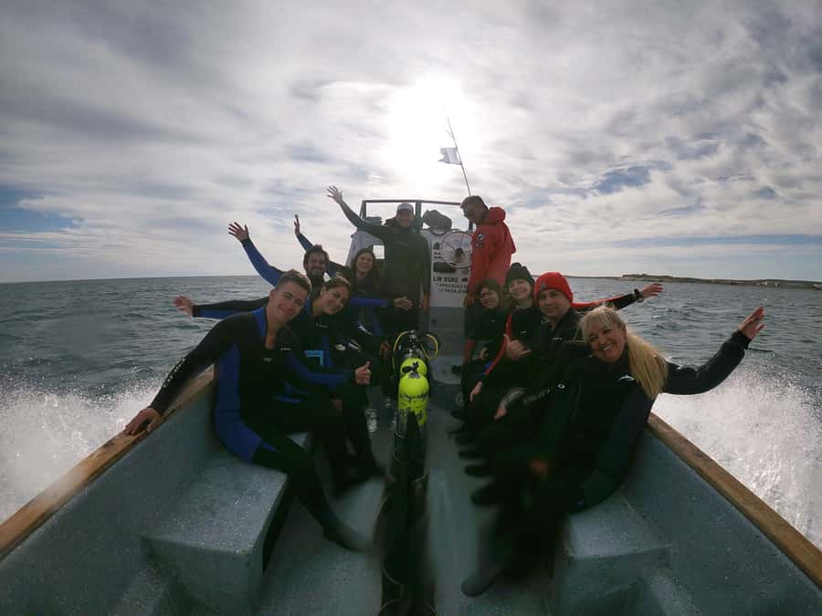 PUERTO MADRYN , SNORKELING WITH SEA LIONS - A crew that puts safety and animals first