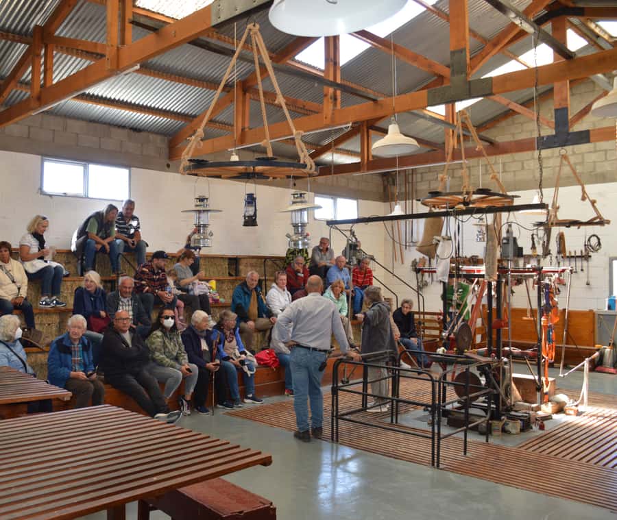 Punta Loma + Ranch Shore Excursion for cruise passengers - Two Sides of Chubut in Four Hours