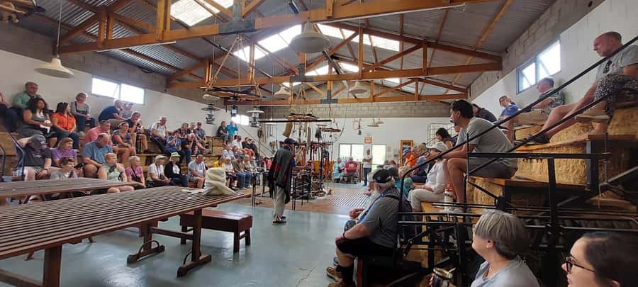 Punta Loma + Ranch Shore Excursion for cruise passengers - Seeing Sheep Shearing in Practice