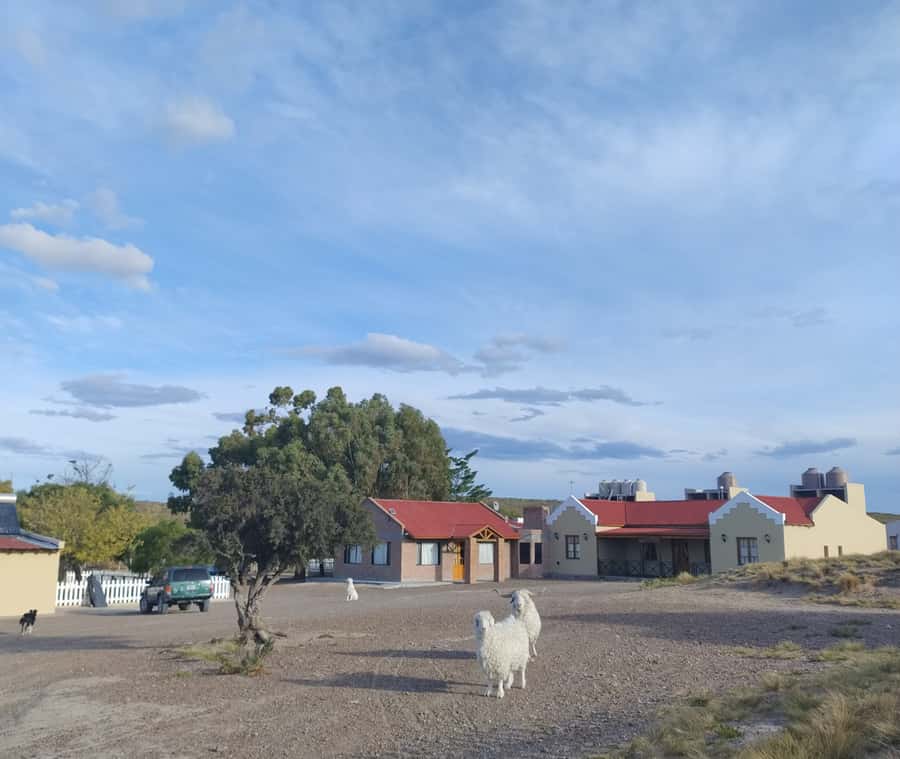 Punta Loma + Ranch Shore Excursion for cruise passengers - The $150 Price: What You Are Really Paying For
