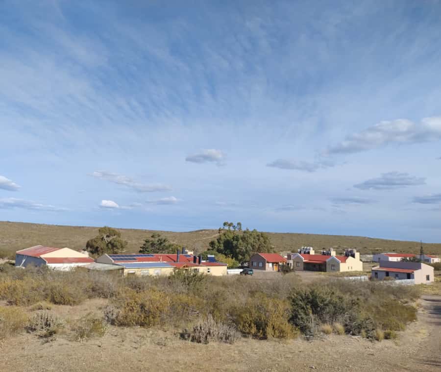 Punta Loma + Ranch Shore Excursion for cruise passengers - Who Will Like This Excursion Most