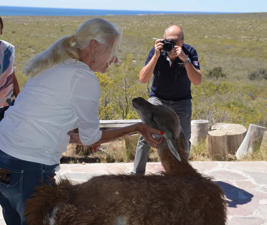 Punta Loma + Ranch Shore Excursion for cruise passengers - Punta Loma’s Sea Lions and Cliff Birds