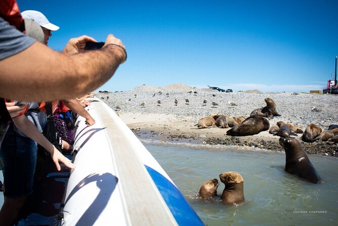 Punta Tombo Penguin Colony from Puerto Madryn with optional Toninas Watching - Why Punta Tombo is worth the long ride
