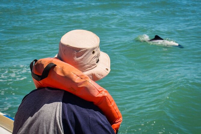 Punta Tombo Penguin Colony from Puerto Madryn with optional Toninas Watching - What $158 per person really buys