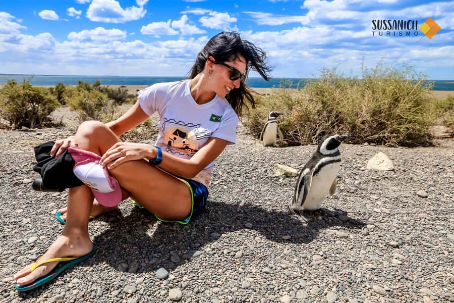 Punta Tombo Shore Excursion for Cruise Passengers + City - The return through Puerto Madryn