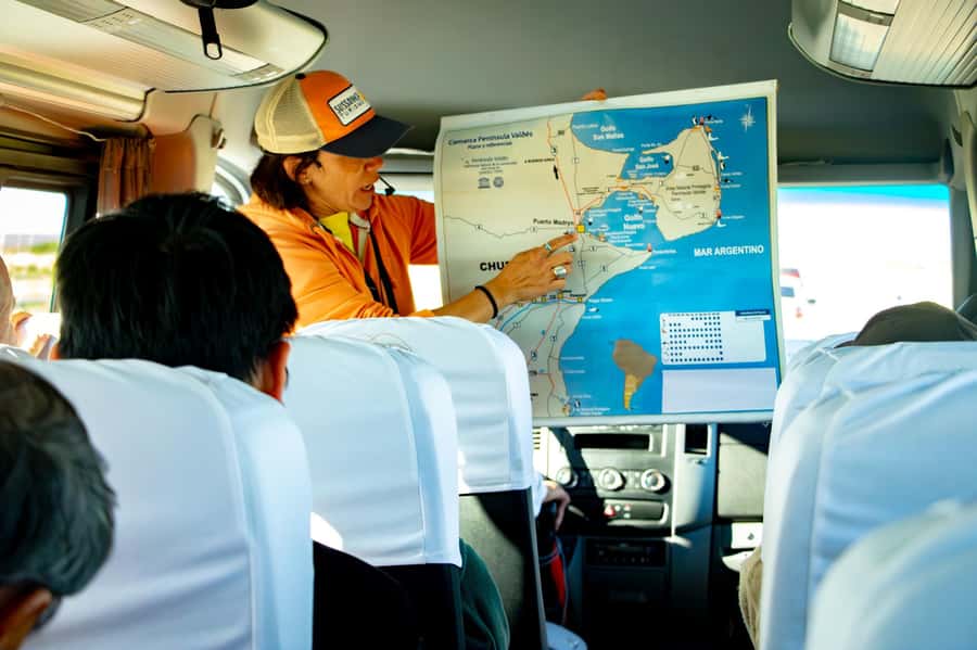 Punta Tombo Shore Excursion for Cruise Passengers + City - What the $105 price really covers