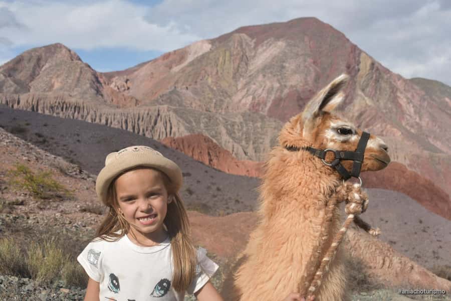 Purmamarca: Hiking with Llamas through multicolored mountains - Key points at a glance