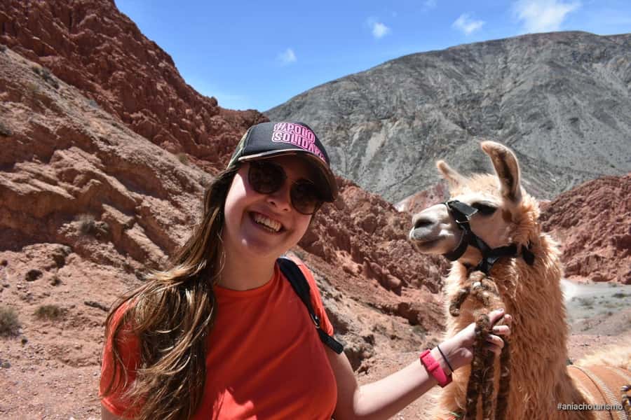 Purmamarca: Hiking with Llamas through multicolored mountains - Learning how to walk with the llamas