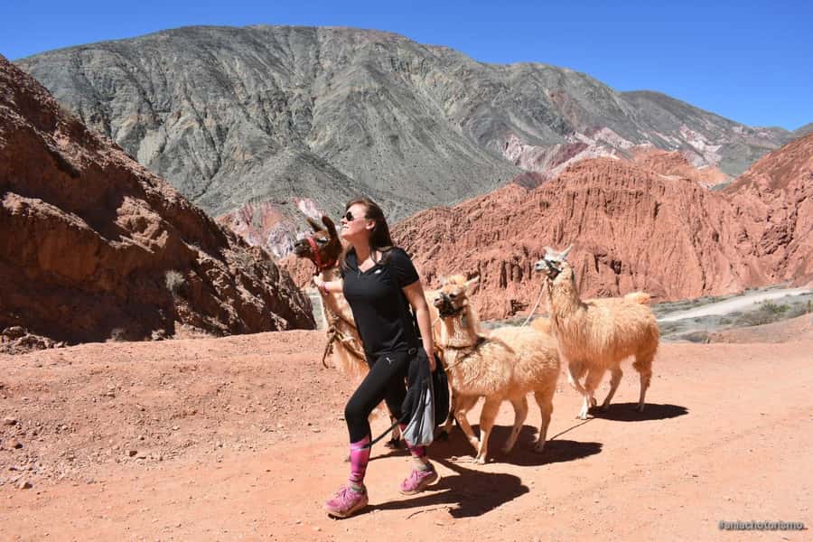 Purmamarca: Hiking with Llamas through multicolored mountains - Group size, comfort, and the pace of the visit