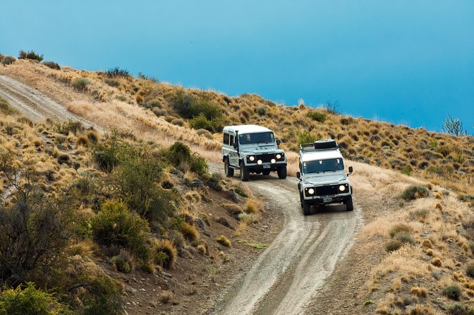 Safari Experience - Wildlife & Steppe - Wildlife spotting with time to stop
