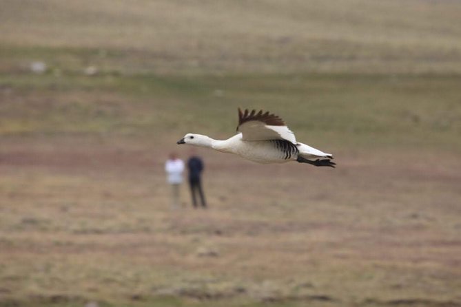 Safari Experience - Wildlife & Steppe - The guides and the quality of the day