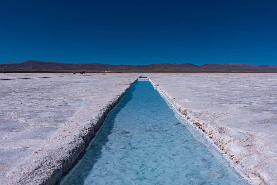 Salta: Cafayate, Cachi, and Salinas Grandes Guided Day Trips - Day 2: Cuesta del Obispo and the cactus country around Cachi