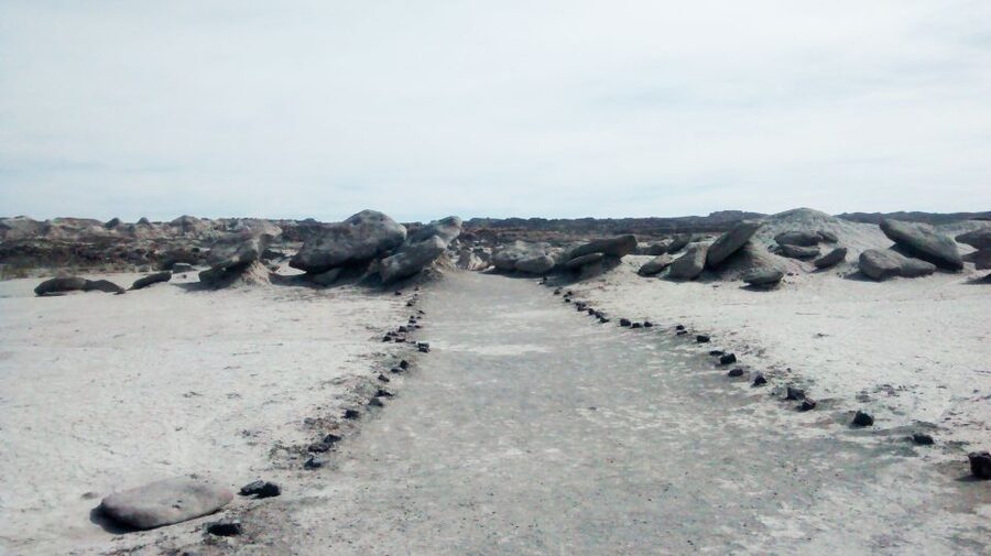 San Juan: Ischigualasto National Park - Moon Valley - The guide language question