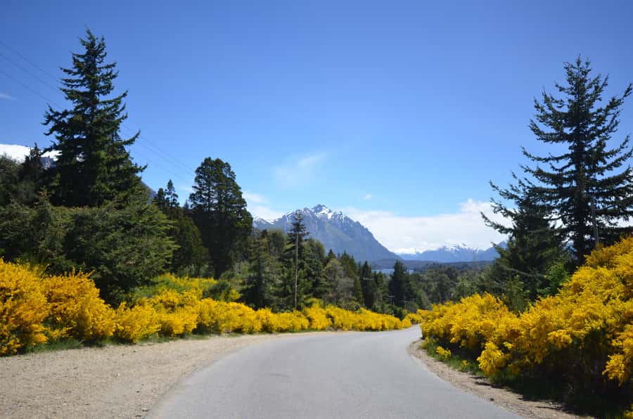 San Martín de los Andes por 7 Lagos - Key points to know before booking