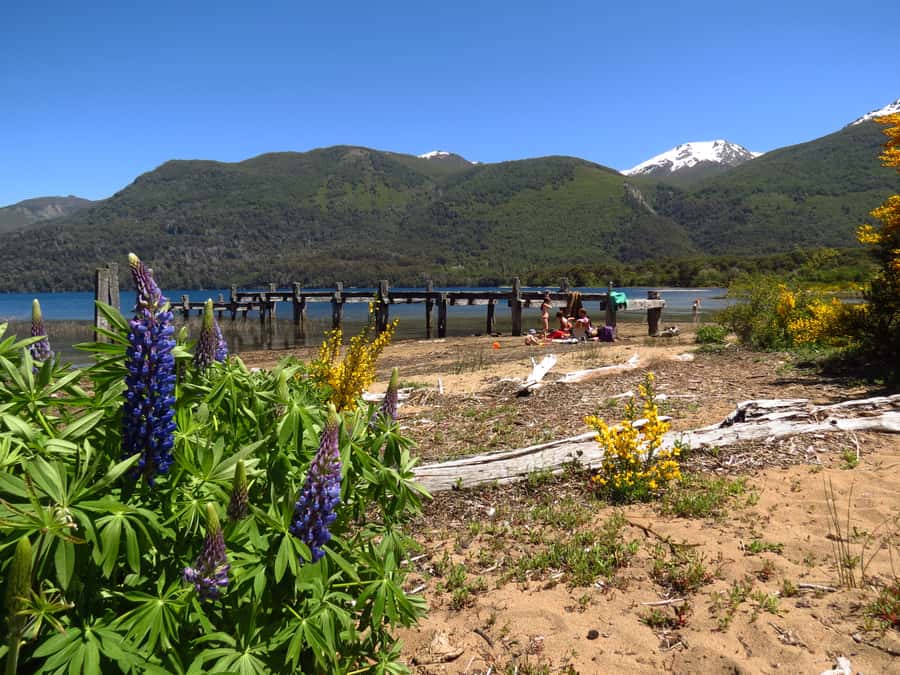 San Martín de los Andes por 7 Lagos - Dina Huapi, the Limay River, and Route 40