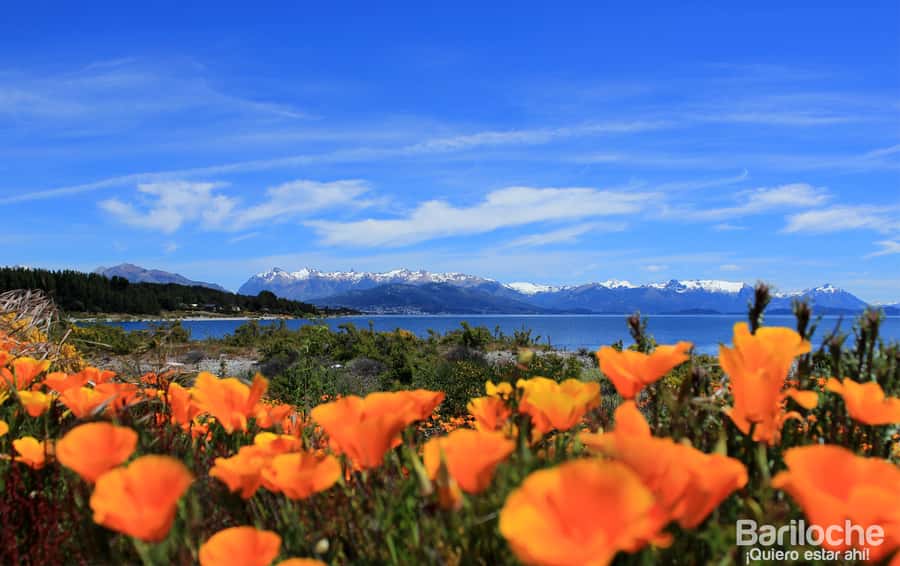 San Martín de los Andes por 7 Lagos - The seven lakes, from Espejo to Lácar
