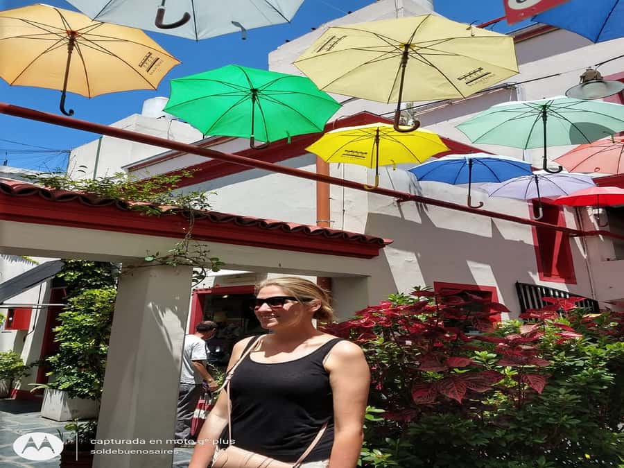 San Telmo Private Guided amazing Walking Tour - Plaza Dorrego And San Telmo’s Public Life